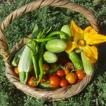 Ya-lavanter Iskele District (Northern Cyprus)