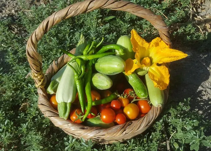 Ya-lavanter Iskele District (Northern Cyprus)